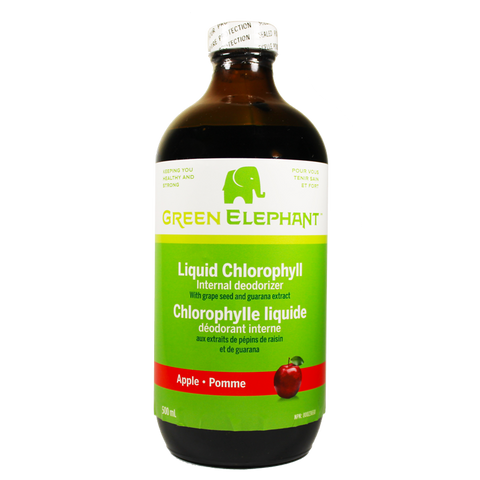 Liquid Chlorophyll - Apple Flavour - 500ml - Green Elephant - Health & Body Nutrition