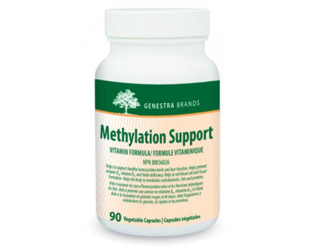 Methylation Support - 90vcaps - Genestra - Health & Body Nutrition
