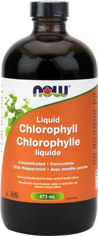 Liquid Chlorophyll - Peppermint - 473ml - Now - Health & Body Nutrition