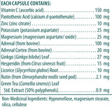 GSF Complex - 60vcaps - Genestra - Health & Body Nutrition