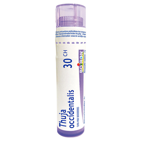 Thuja Occidentalis 30CH - 4g - Boiron - Health & Body Nutrition
