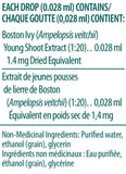Boston Ivy Young Shoot - 15ml - Genestra - Health & Body Nutrition
