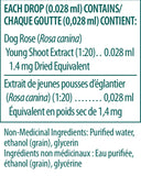 Dog Rose Young Shoot - 15ml - Genestra - Health & Body Nutrition