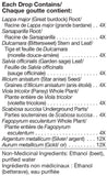 Unda #12 - 20ml - Unda - Health & Body Nutrition 