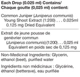 Ligustrum Vulgare - 125ml - Unda - Health & Body Nutrition 