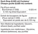 Ficus Carica - 125ml - Unda - Health & Body Nutrition 