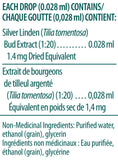 Silver Linden Bud - 15ml - Genestra - Health & Body Nutrition 
