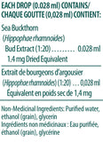 Sea Buckthorn Bud - 15ml - Genestra - Health & Body Nutrition 