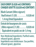 Black Currant Bud - 15ml - Genestra - Health & Body Nutrition 