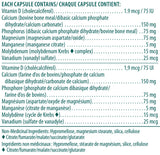 Super Cal Mag - 90vcaps - Genestra - Health & Body Nutrition 