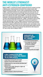 Ebrake - 72caps - Magnum Nutraceuticals - Health & Body Nutrition 