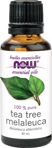 Tea Tree Essential Oil - 30ml - Now - Health & Body Nutrition 