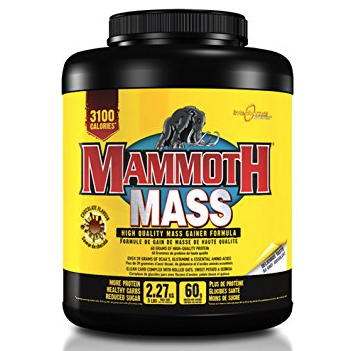 Mass Gainer - Chocolate 5lbs - Mammoth Mass - Health & Body Nutrition 