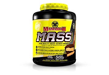 Mass Gainer - Chocolate Peanut Butter 5lbs - Mammoth Mass - Health & Body Nutrition 