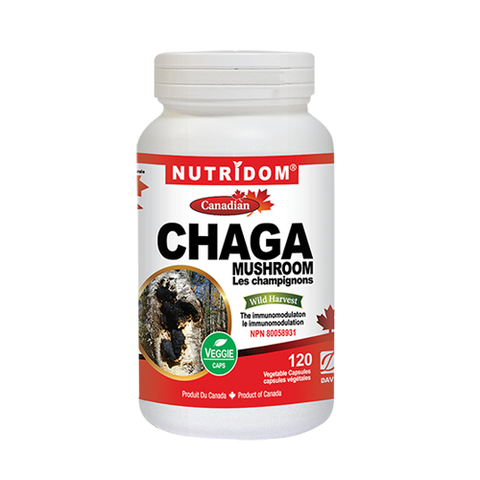 Chaga Mushroom Capsules - 360mg 120vcaps - Nutridom - Health & Body Nutrition 